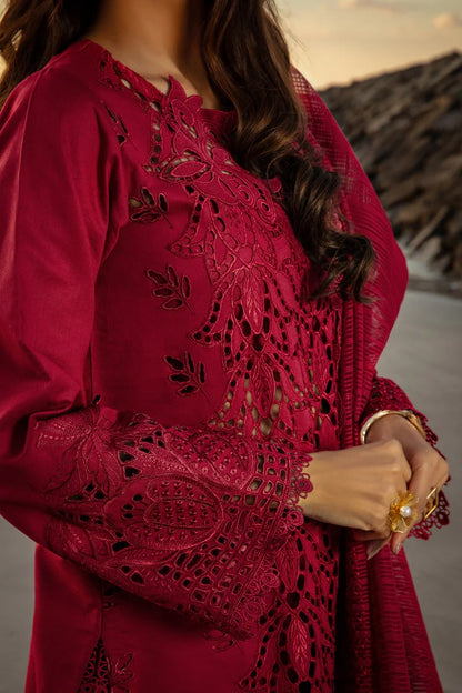 Rang Rasiya #masterpiece #summer #2025#Chikankari&nbsp; &nbsp;#Khadi net #lawncotton
